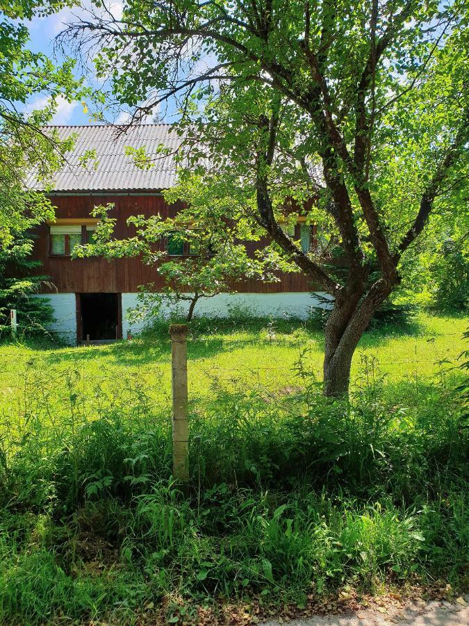 Draga Koncar Guest House Vrelo Korenicko Exterior photo