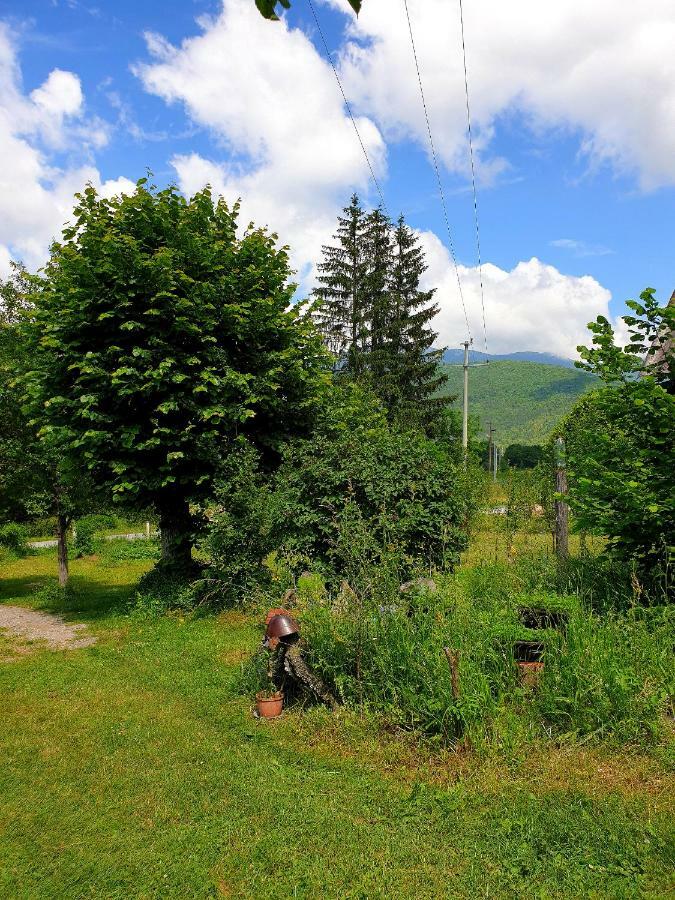 Draga Koncar Guest House Vrelo Korenicko Exterior photo
